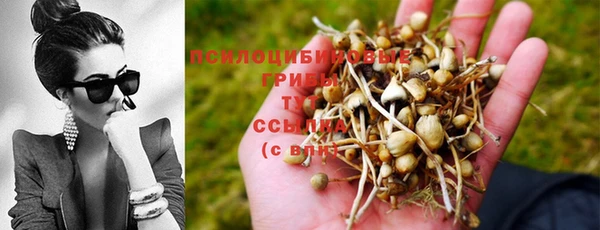 меф Гусев